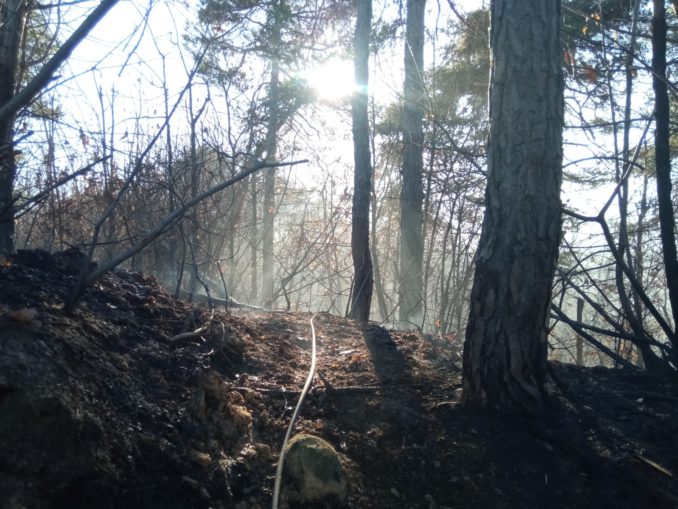 Fermato nei pressi della Casa di riposo di Sommariva Perno l'incendio di Maunera 1