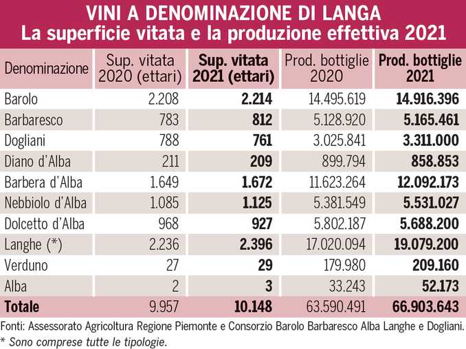 Vino: la produzione galoppa, solo il Dolcetto è in calo