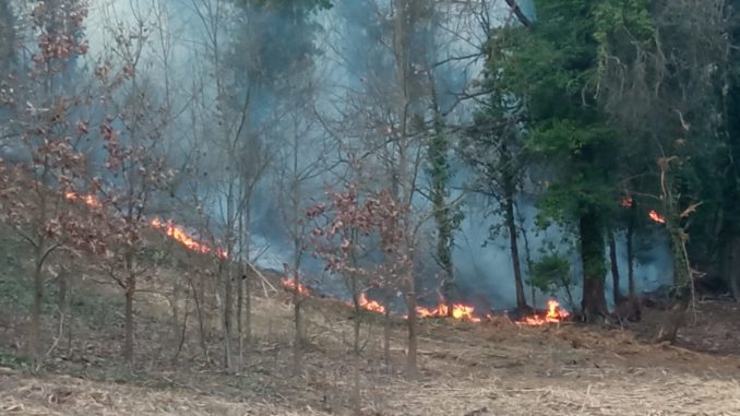 Brucia un bosco in località Pautasso: prosegue la bonifica