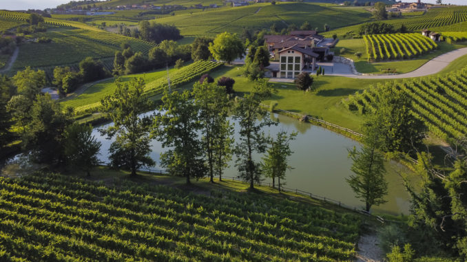 Forbes: il vino Sansilvestro nelle top 100 eccellenze italiane 1