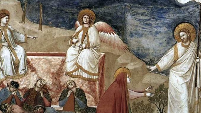Giotto e la cappella degli Scrovegni protagonisti nella serata di Alec