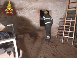 Precipita in un condotto sotterraneo: cane salvato dai pompieri di Asti