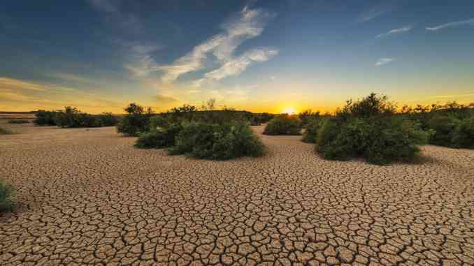 Il cambiamento climatico è già arrivato (INCHIESTA)