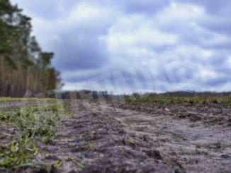 Coldiretti: UE sblocca 3.500 ettari di terreni a riposo, aumenta la produzione agricola cuneese