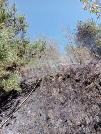 Castino: è in corso un incendio boschivo