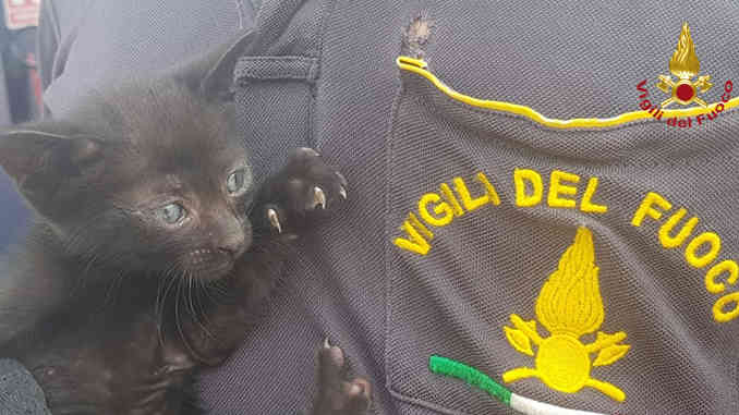 Grinzane Cavour: i pompieri albesi salvano un gatto caduto in un pozzo