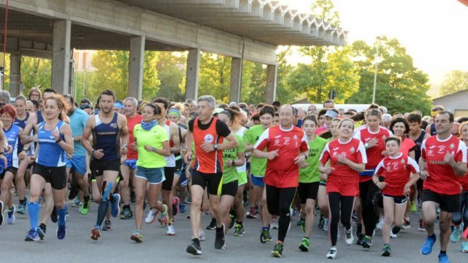 La ¼ di Vinum-Maratona per la Collina degli elfi