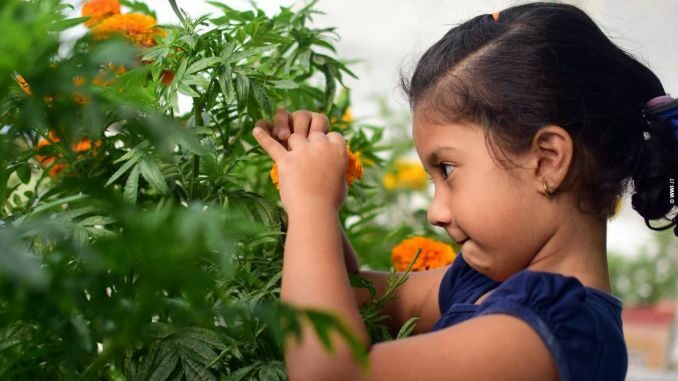 Giornata terra: Unicef, sei consigli per parlare di clima ai bambini