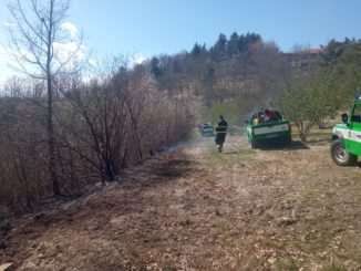 Spento il rogo di località Stanislao: non si esclude l'origine dolosa