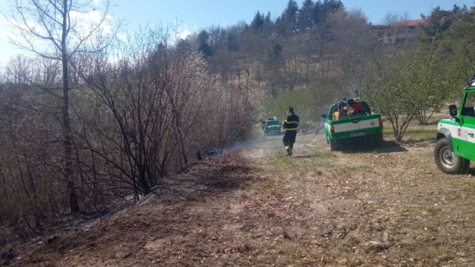 Spento il rogo di località Stanislao: non si esclude l'origine dolosa