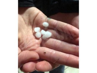 Una breve e improvvisa grandinata ha colpito la zona di Canale