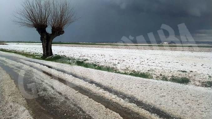 Grandine: in pianura i danni maggiori. Ora si teme per le gelate