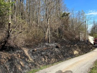 Incendio in località Stanislao: rientrata l'allerta, prosegue la bonifica 2