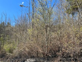 Incendio in località Stanislao: rientrata l'allerta, prosegue la bonifica 1