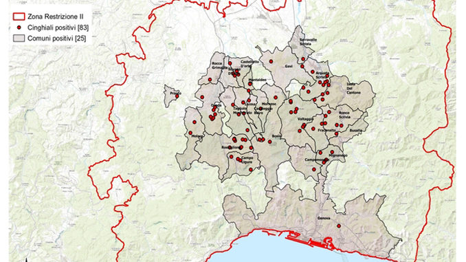 Peste suina: in Piemonte 3 nuovi casi, totale diventa 83