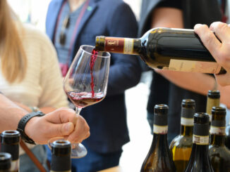 Il primo weekend di Vinum anima le vie di Alba (FOTOGALLERY) 1