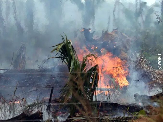 Giornata della Terra: il Pianeta è in bilico. L'allarme del Wwf