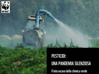 Wwf: ogni anno nel Mondo 385 milioni di avvelenamenti da pesticidi