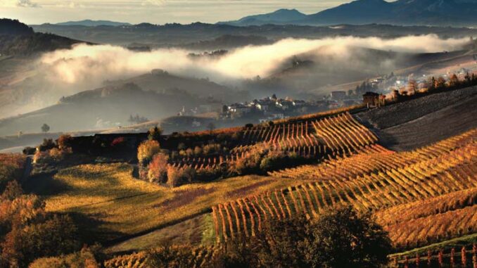 I paesaggi vitivinicoli di Langhe Roero e Monferrato nelle immagini di Bruno Murialdo