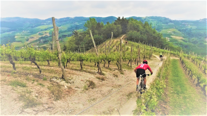 Sulle colline intorno a Cossano Belbo appuntamento con la Pedalanghe
