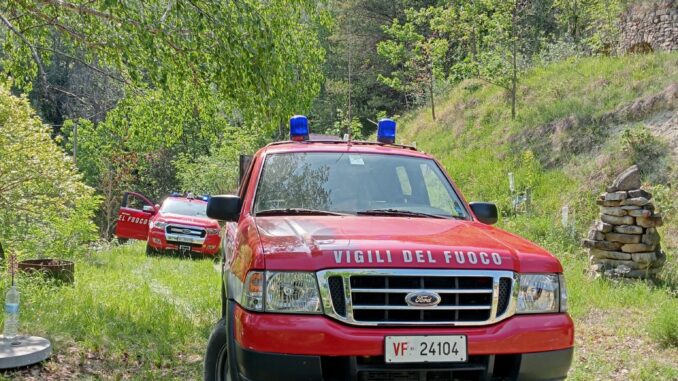Intervento di soccorso di un volatile per i pompieri di Alba