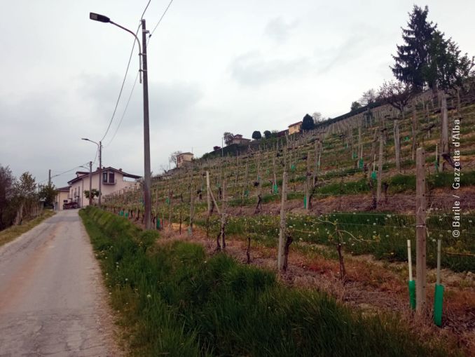 Strada Croci: l’ultimo lembo di collina in mezzo alla città 3