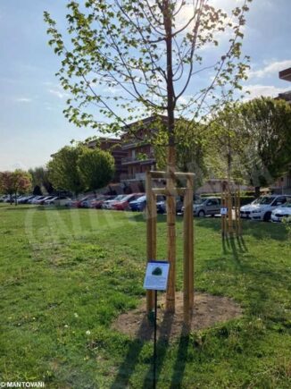 Rotary club: rimandata l'inaugurazione del Bosco didattico 1