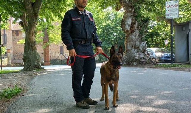 Esche avvelenate vicino al castello: muore un cane a Cherasco