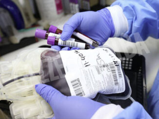 Donazione sangue e rete trasfusionale, l’assessore regionale alla Sanità illustra il progetto pilota del Piemonte