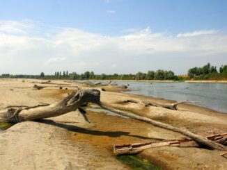 Emergenza siccità: nel Po le portate sono molto basse e  i prelievi non sono stati ridotti