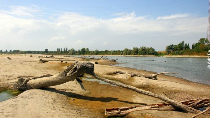 Emergenza siccità: nel Po le portate sono molto basse e  i prelievi non sono stati ridotti