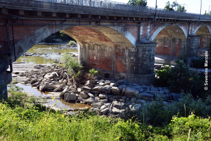 Il Piemonte chiede lo stato di calamità per la siccità 1