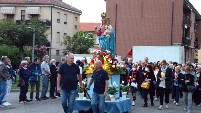 Bozza automatica 515