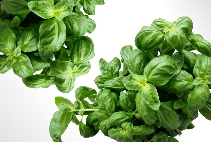 Con il laboratorio del pesto ligure, torna domenica il Mercato della terra.