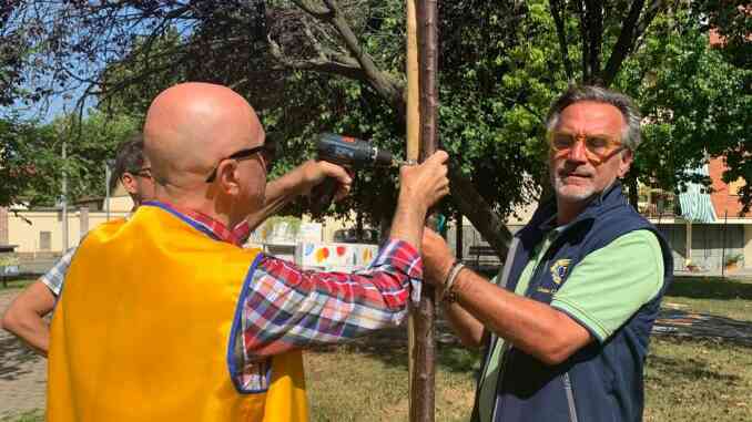 Il Lions Bra dona alberi al piazzale Falcone e Borsellino 4