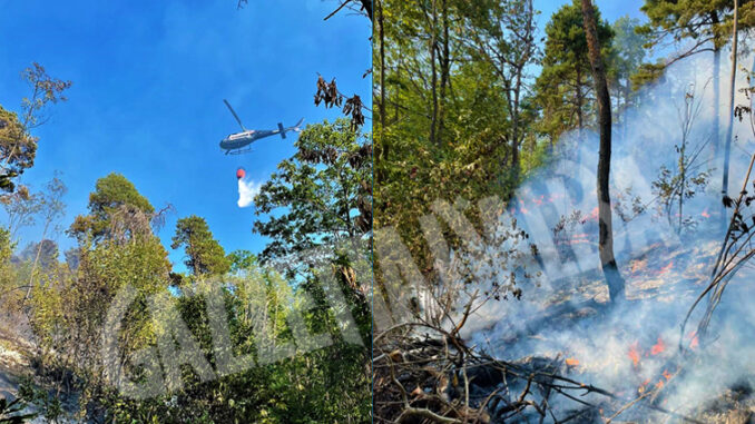 In fiamme i boschi di Falchetto: prosegue la bonifica