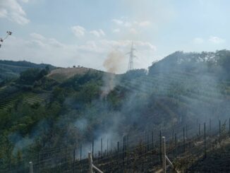 Santo Stefano Belbo: incendio boschivo in località Seirole