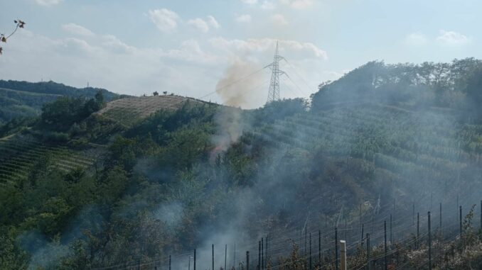 Santo Stefano Belbo: incendio boschivo in località Seirole