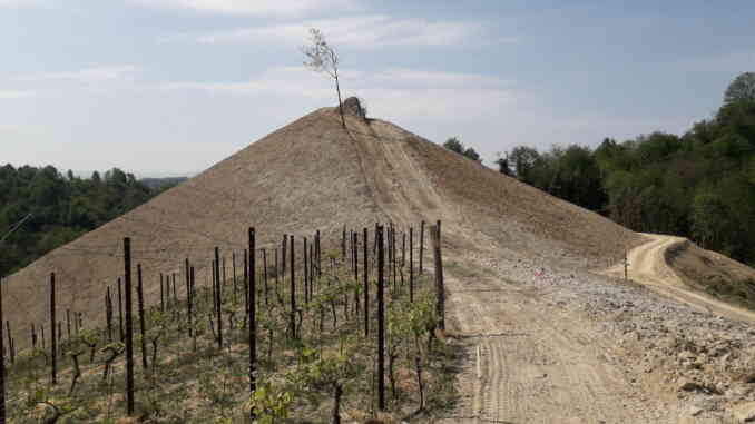 Italia Nostra con il progetto salvarocche per tutelare i boschi del Roero 1