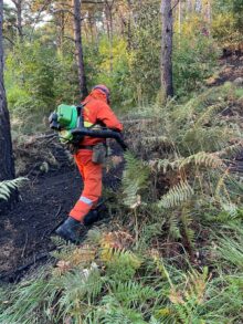 In fiamme i boschi di Falchetto: prosegue la bonifica 1