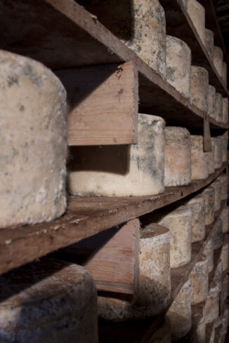 Due Province e tre formaggi Dop: i sapori di Roccaverano, Murazzano e Castelmagno 1