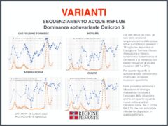 Focus settimanale in Piemonte sulla situazione epidemiologica e vaccinale 1