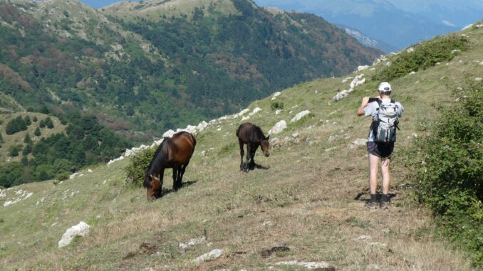 Sulle vette alpine nell’entroterra di Andora, sulle tracce del partigiano Felice Cascione