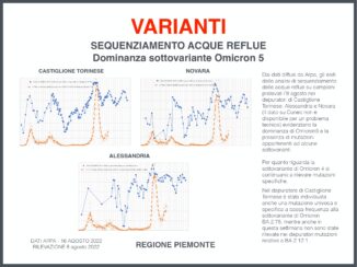 Focus settimanale sulla situazione epidemiologica e vaccinale in Piemonte 2