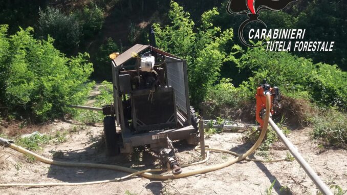 Controlli sui furti d’acqua: due agricoltori sanzionati dai Carabinieri Forestali