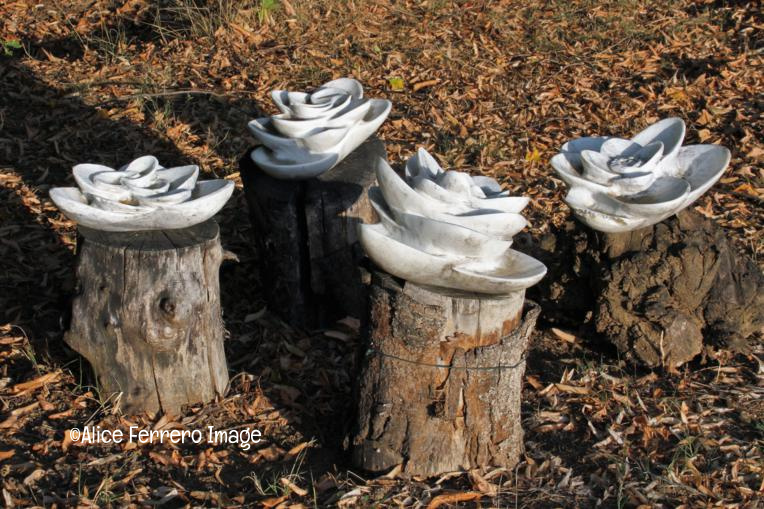 La scultura di Cristiana Cravanzola dalla Toscana alle colline di Langa 12