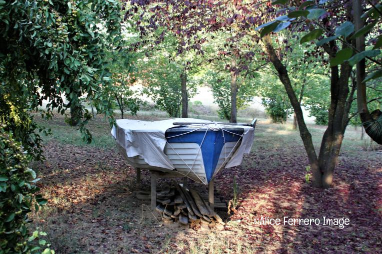 La scultura di Cristiana Cravanzola dalla Toscana alle colline di Langa 27