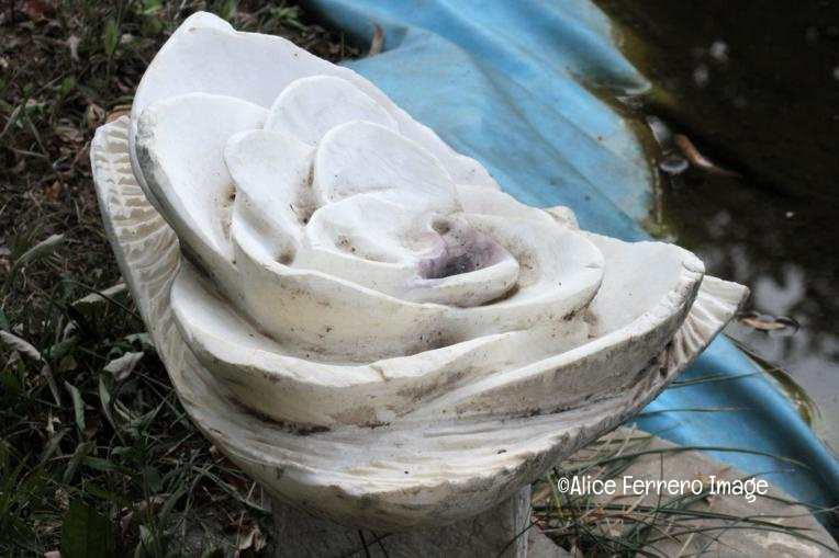 La scultura di Cristiana Cravanzola dalla Toscana alle colline di Langa 29