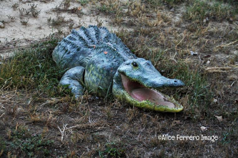 La scultura di Cristiana Cravanzola dalla Toscana alle colline di Langa 34