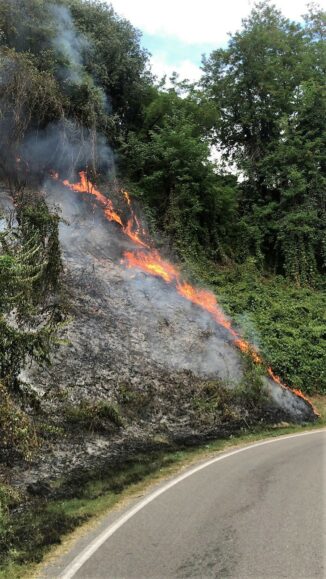 Vasto incendio a Baldissero d'Alba da Strada Belvedere risale il bosco sottostante il Municipio del paese 1